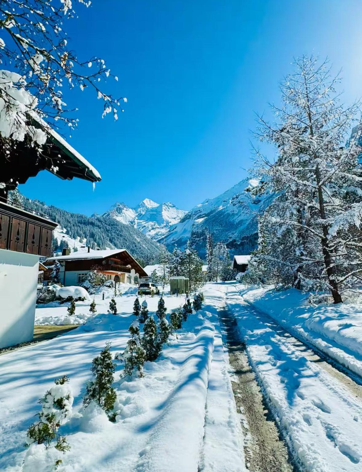 Апартаменты Cute & Cozy Oasis, Private Afternoon Sun Terrace Кандерштег Экстерьер фото